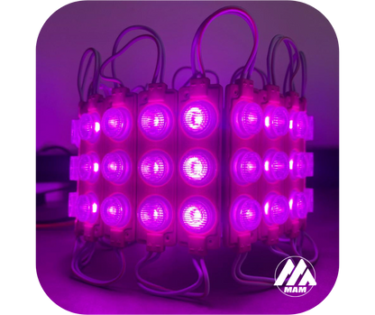 Módulos LED 3LED 3W 12V ó 24V Impermeables para Carros, Motos, Camiones, Buses y Avisos Luminosos – Colores Amarillo, Blanco, Rojo, Verde, Azul, Azul Ice, Morado y Rosado – Fácil Instalación