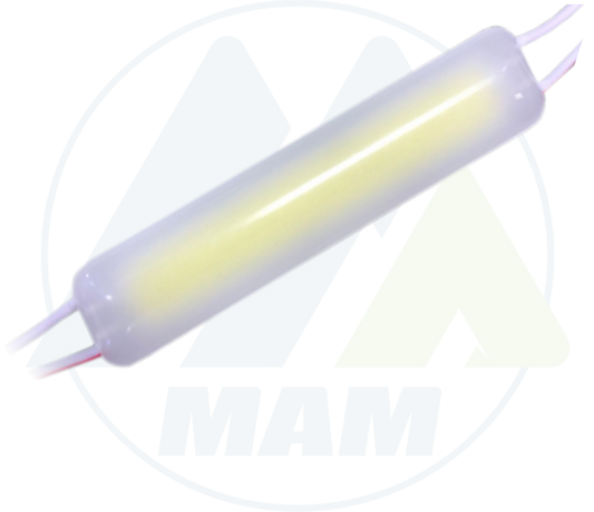 Módulos MW-12V